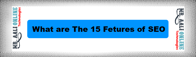 What are The 15 Fetures of SEO