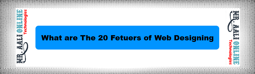 What are The 20 Fetuers of Web Designing